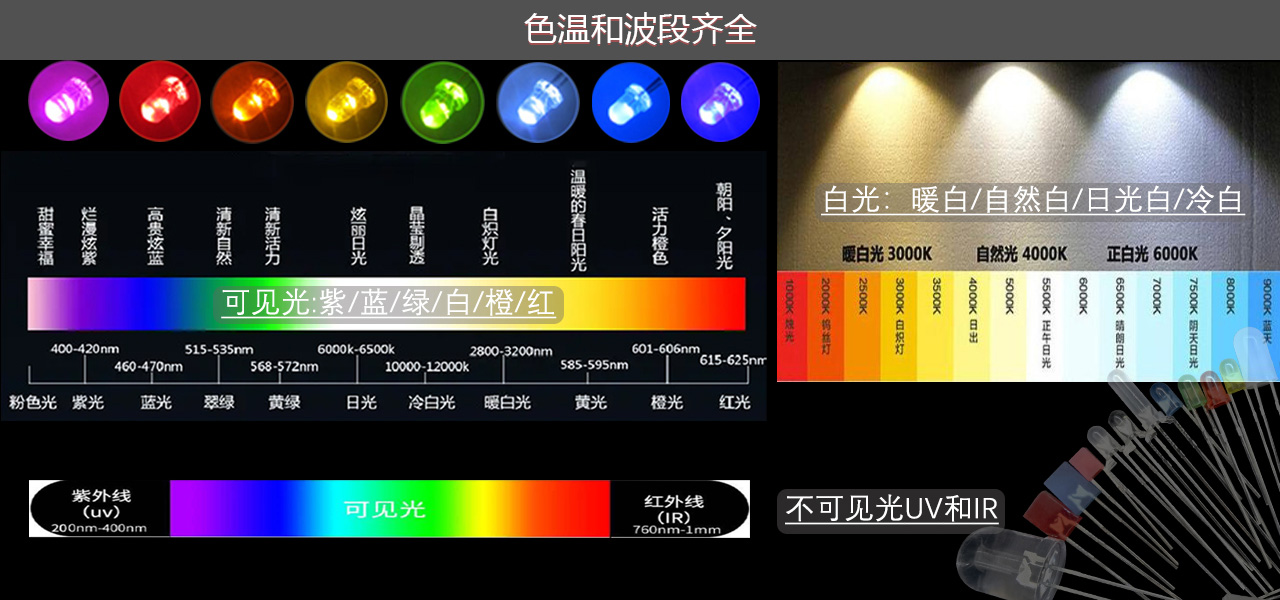 顏色齊全3.jpg