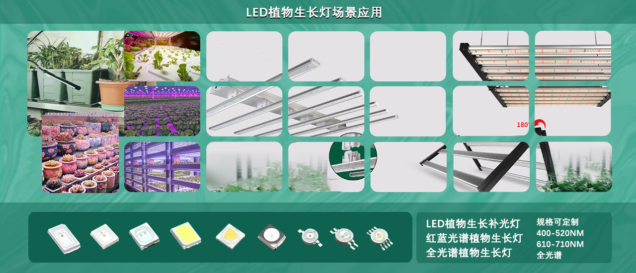 LED植物生長燈珠產品應用.jpg